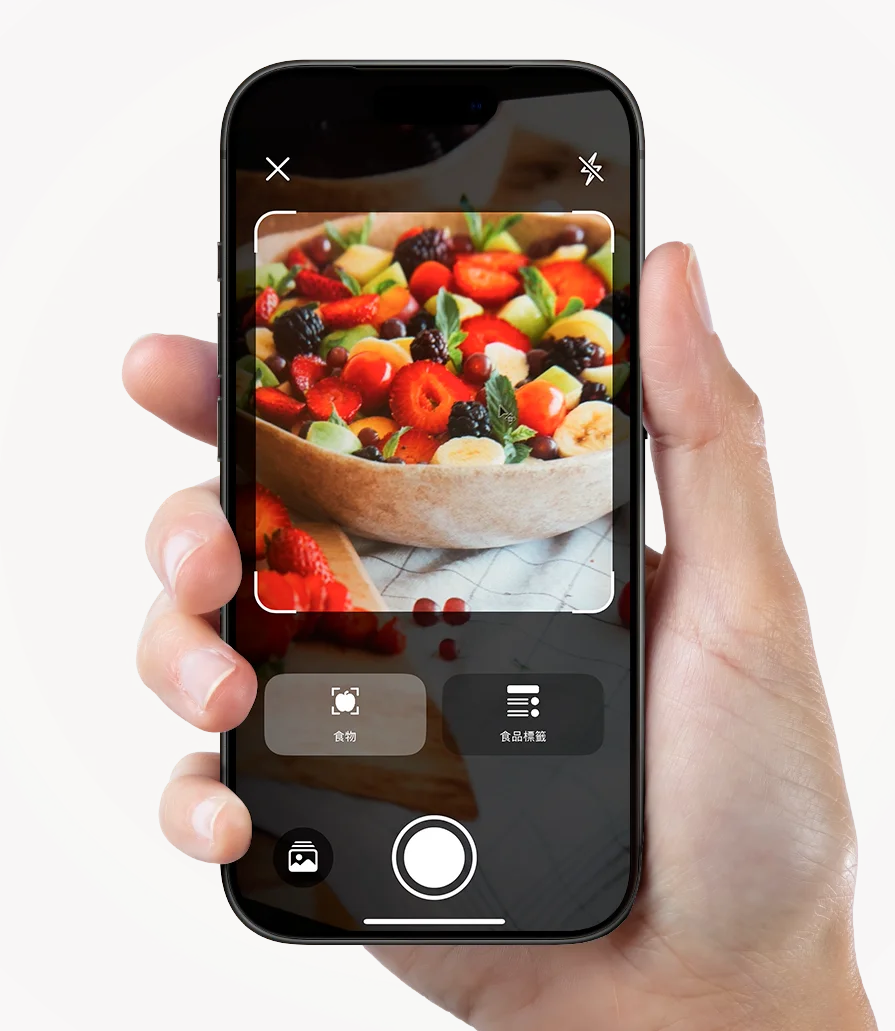 SeeFit app on phone showing AI nutrition analysis