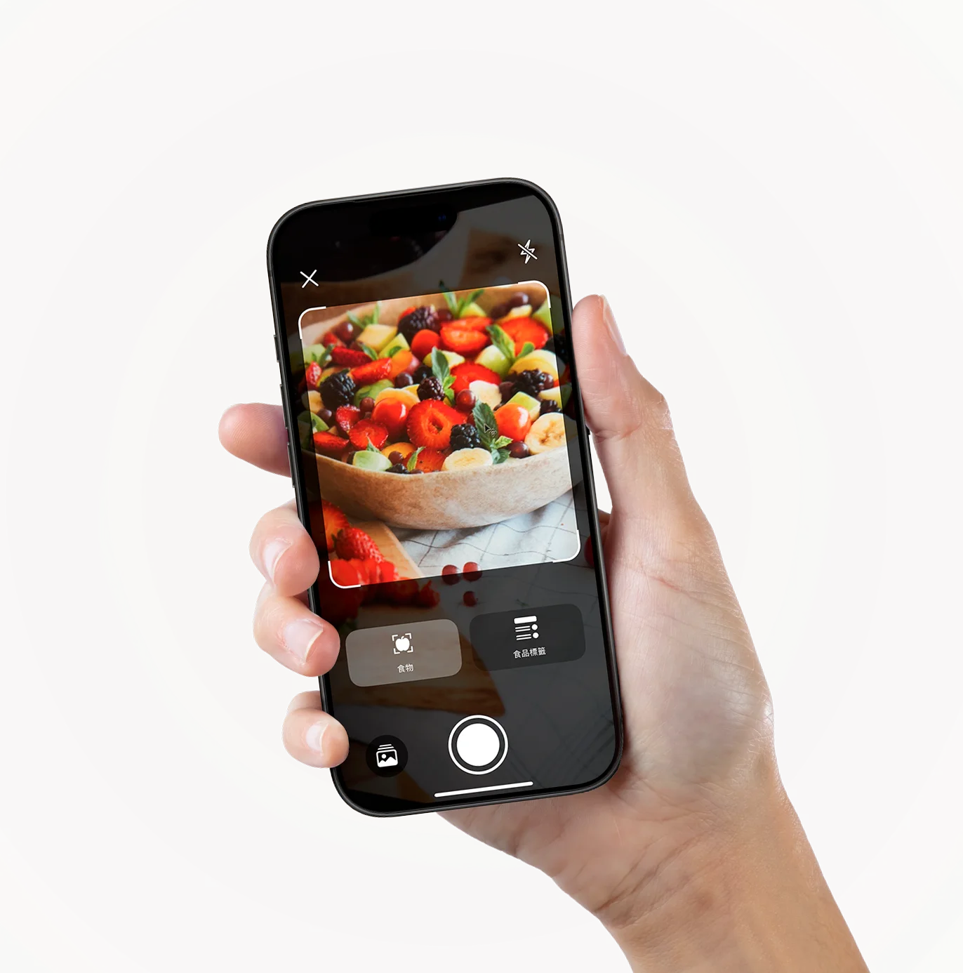 SeeFit app on phone showing AI nutrition analysis